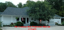 Museum Website